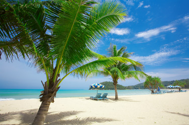 Similar image 7448725