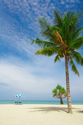 Similar image 7448727