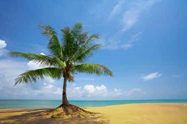 Similar image 7448728