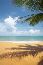 Similar image 7448732