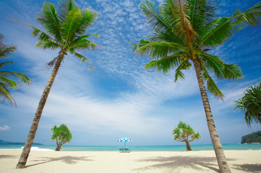 Similar image 7448733