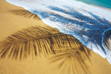 Similar image 7448735