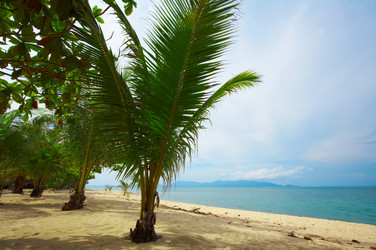 Similar image 7448736