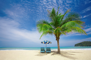 Similar image 7448741