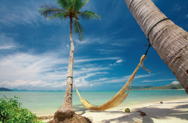 Similar image 7448744