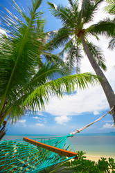 Similar image 7448746