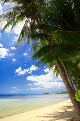 Similar image 7448747