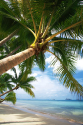 Similar image 7448753