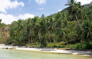 Similar image 7448754