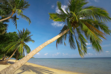 Similar image 7448755