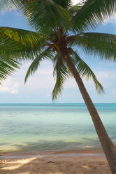 Similar image 7448757