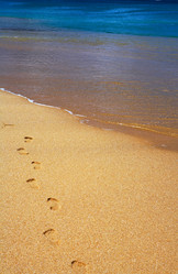 Similar image 7448759