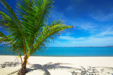 Similar image 7448760