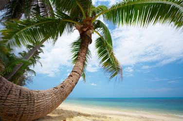 Similar image 7448763