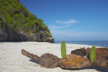 Similar image 7448764