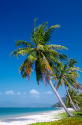 Similar image 7448766