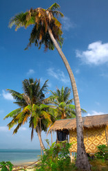 Similar image 7448769