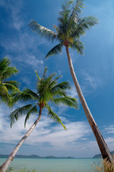 Similar image 7448770