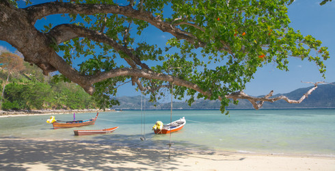 Similar image 7448771