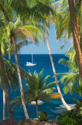 Similar image 7448772