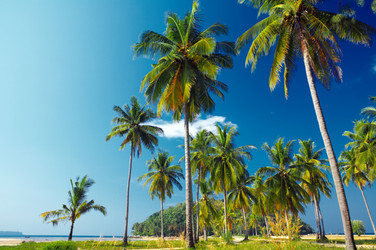 Similar image 7448774