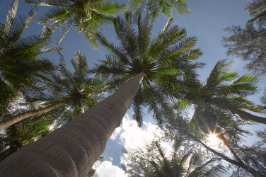 Similar image 7448779