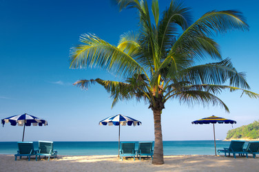 Similar image 7448782