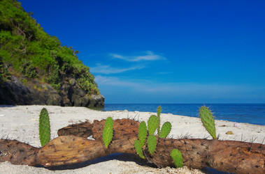 Similar image 7448784