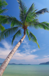 Similar image 7448788