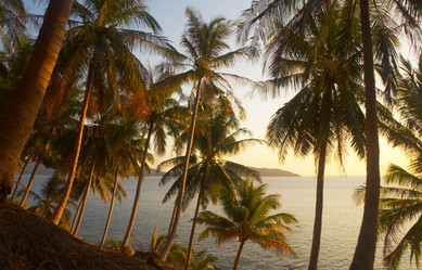 Similar image 7448791