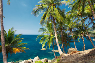 Similar image 7448796