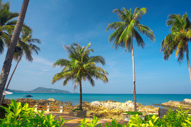 Similar image 7448800