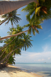 Similar image 7448804