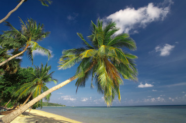 Similar image 7448808