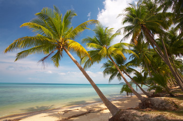 Similar image 7448809