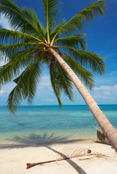 Similar image 7448810