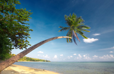 Similar image 7448818