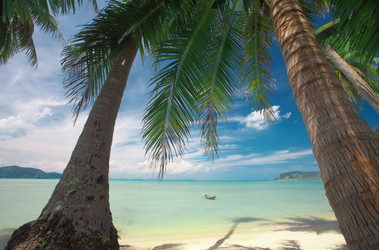 Similar image 7448819