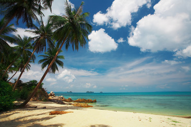 Similar image 7448820