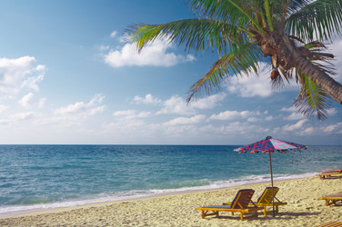 Similar image 7448822