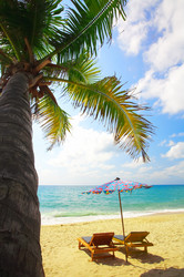 Similar image 7448830