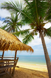 Similar image 7448831