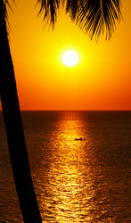 Similar image 7448840