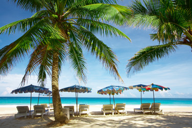 Similar image 7448850