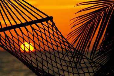 Similar image 7448854