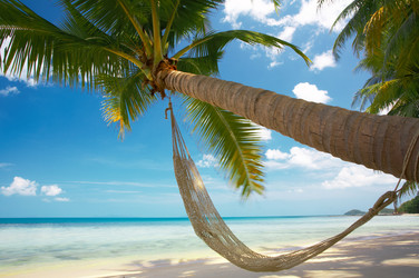 Similar image 7448856