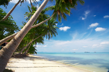 Similar image 7448858