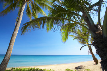 Similar image 7448867