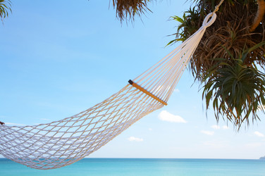 Similar image 7448869