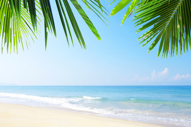 Similar image 7448871